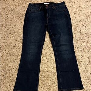 LOFT Dark Indigo Ankle Jeans